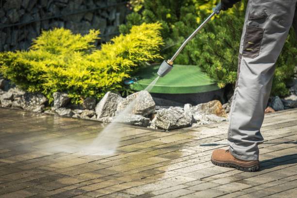 Best Animal Enclosure Cleaning  in Ely, MN