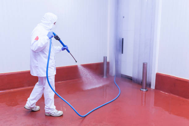 Best Roof Washing  in Ely, MN