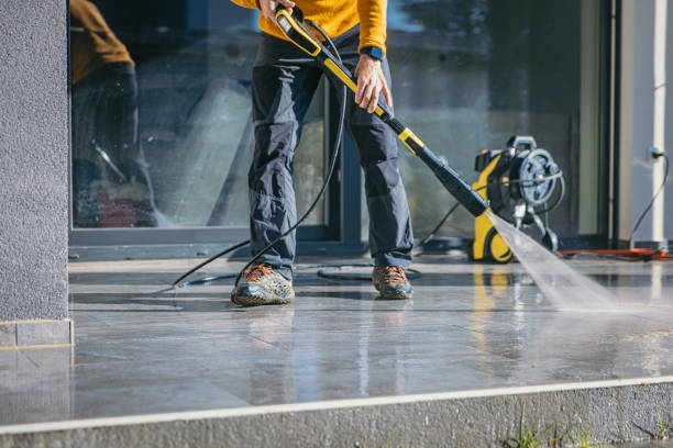 Best Building Exterior Washing  in Ely, MN